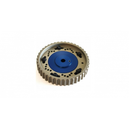 Paire de Poulies Réglables Kent Cams pour Peugeot 2.0 16v ( XU10J4)