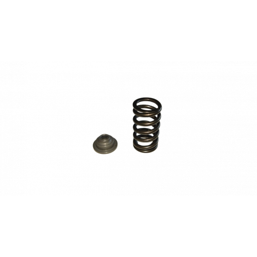Kit Ressorts de soupapes Kent Cams VSK43P