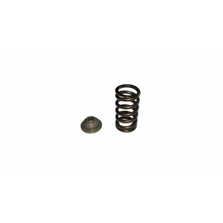 Kit Ressorts de soupapes Kent Cams VSK43P