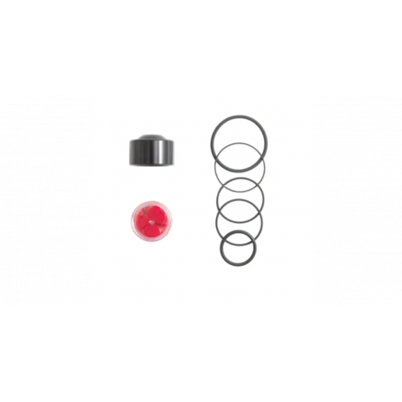 Kit réparation turbo valve FMFOCSTDV