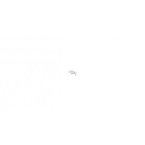 FAP Back Milltek SSXBM1114