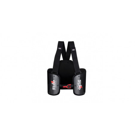 Protège côtes Stilo Carbon Curva FIA