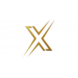 Plaquettes de frein Pagid S2019 RSX