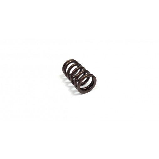 Ressort de soupape Gold Cat Cams Renault