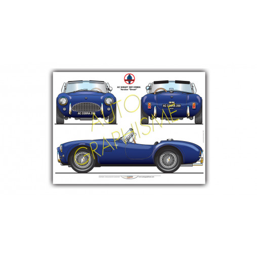 Poster Shelby 289 Cobra