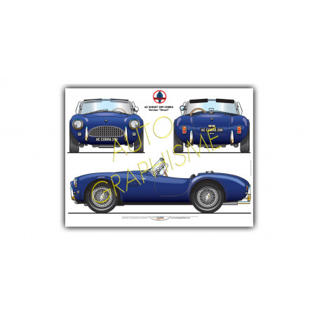 Poster Shelby 289 Cobra