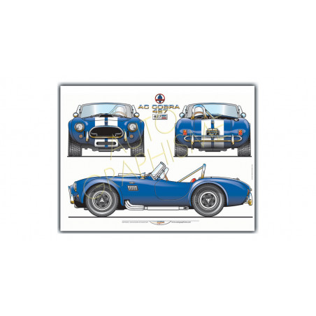 Poster Shelby 427 Cobra